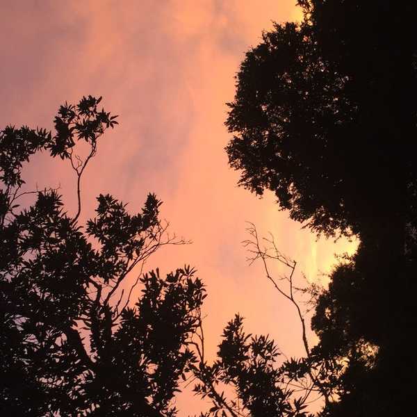 An Open Letter To Those Who Tore Me Down