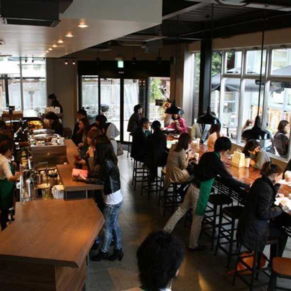 3 Reasons Why Starbucks Is The Absolute Worst Place to Study