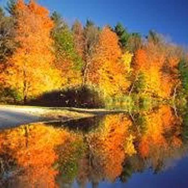 Top 15 Fall Road Trip Destinations In New England