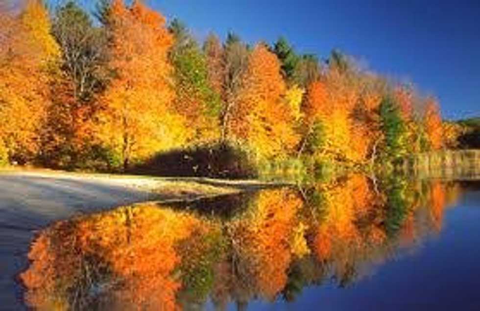 Top 15 Fall Road Trip Destinations In New England