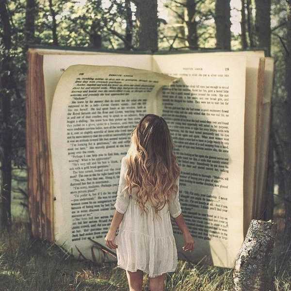Limitless Adventures, Countless Emotions, All Found In A Book