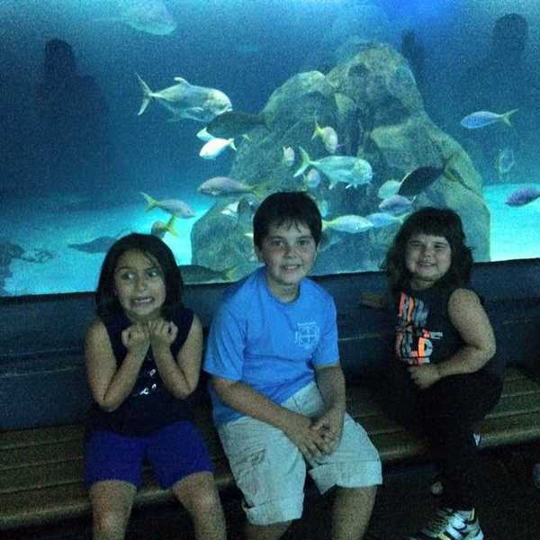 What It's Like To Grow Up With A Uniquely Blended Family