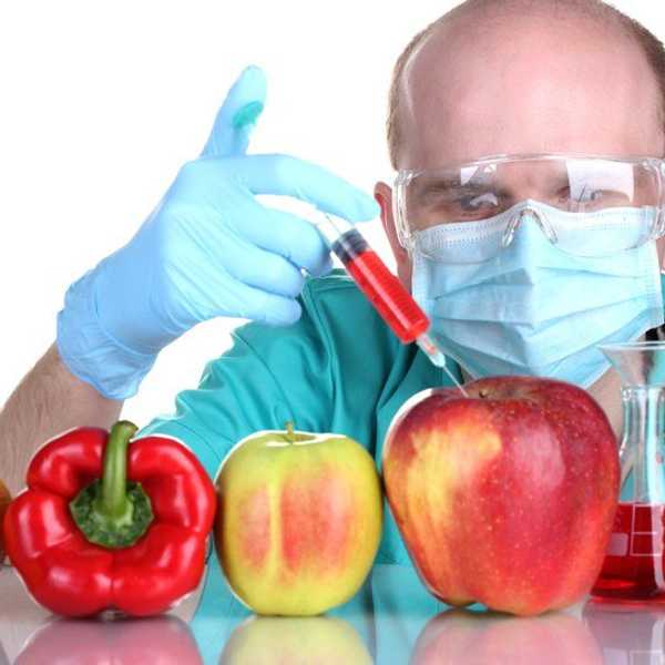 5 GMO Myths That Aren't True