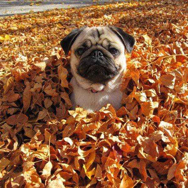 10 Things You Must Do This Fall
