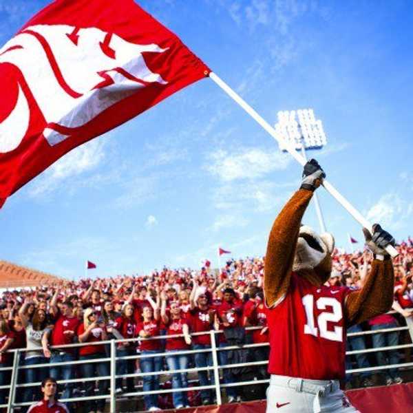 Win Or Lose, Go Cougs