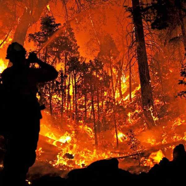 What Would America Save In A Fire?