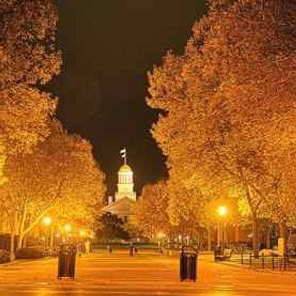 4 Fun Activities For Autumn