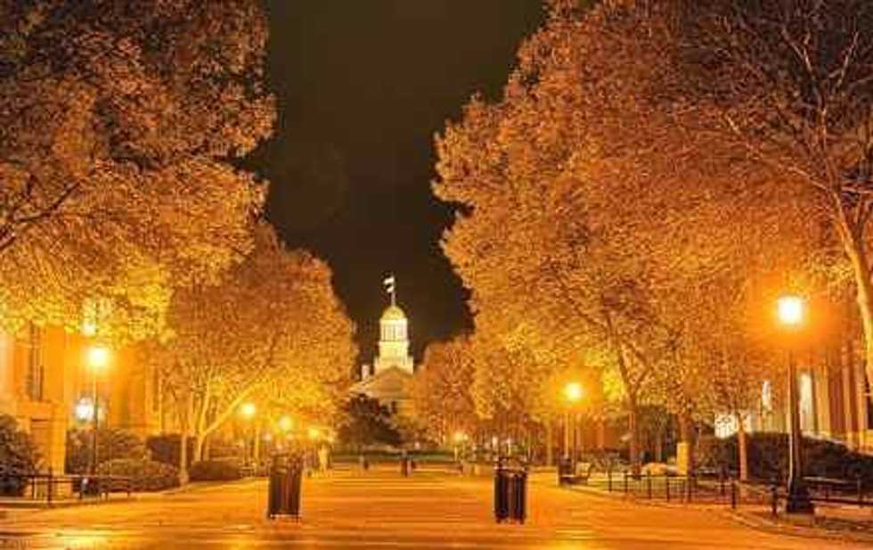 4 Fun Activities For Autumn