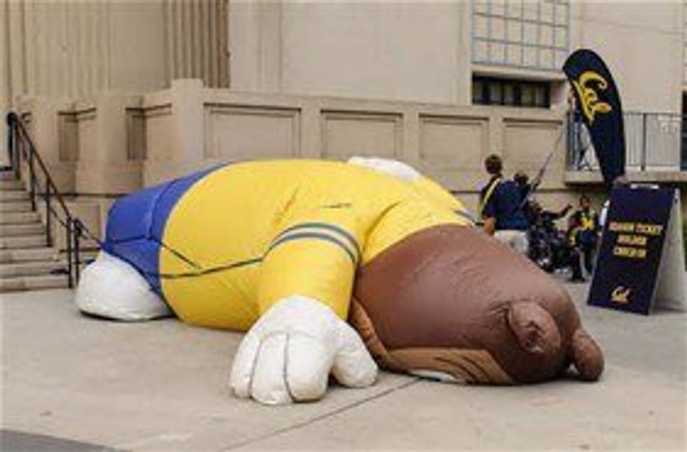 EmBEARassment: How It Feels To Be A CAL Football Fan