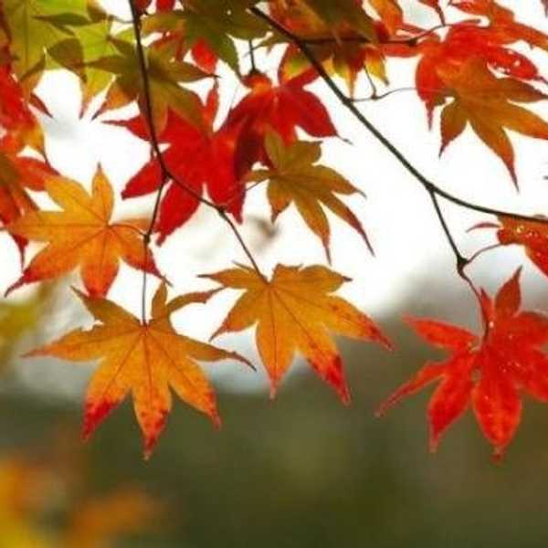 30 Reasons Fall Is the Best Season