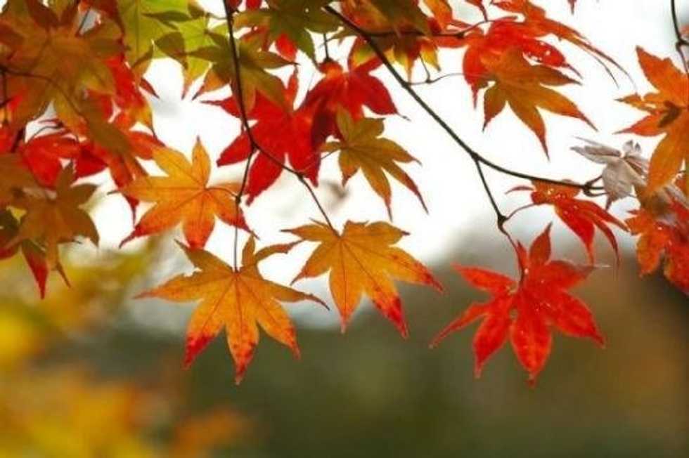 30 Reasons Fall Is the Best Season
