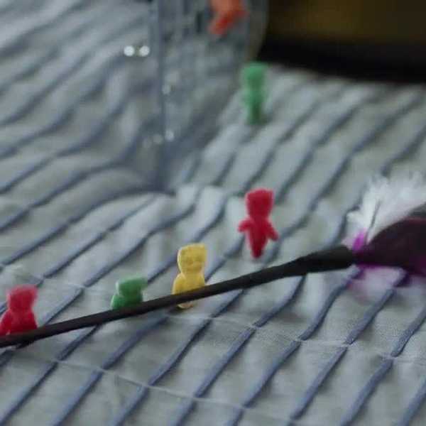 On College & Candy: Sour, Sweet, Gone