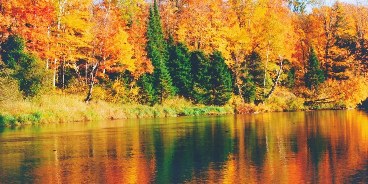 I Know Fall 20 Signs You Know Fall Is Here | The Odyssey Online