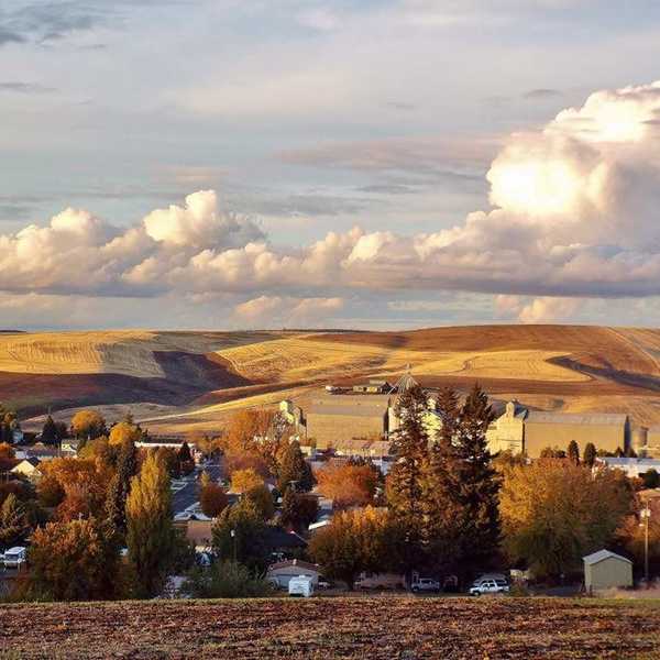 7 Small Town Questions Answered