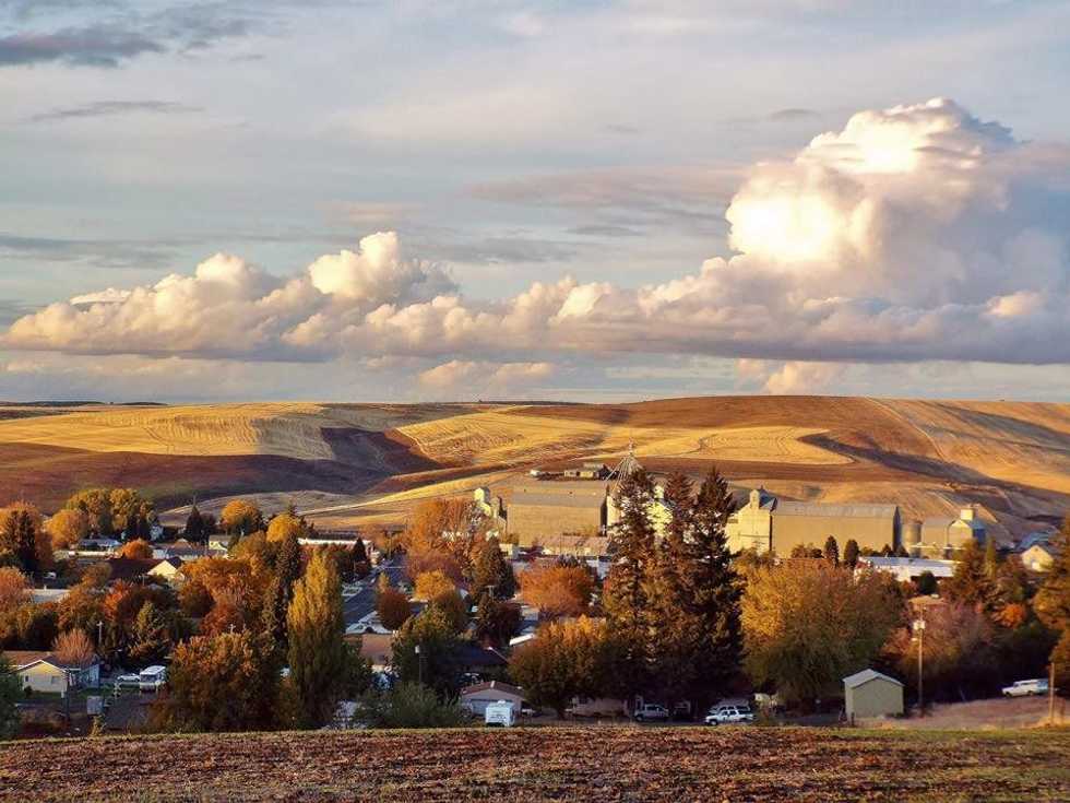7 Small Town Questions Answered