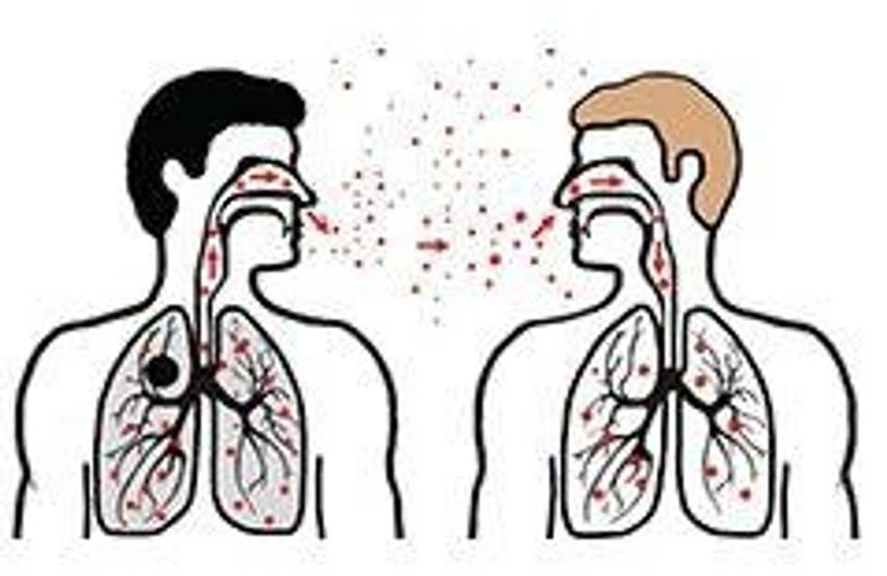 Learn About Disease: Tuberculosis