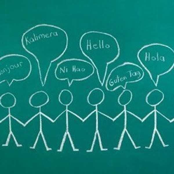 American Foreign Language Education