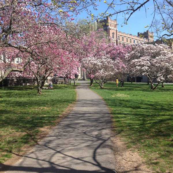 The Beginning of the End