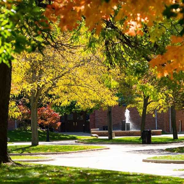 8 Cheap Fall Activites For College Students