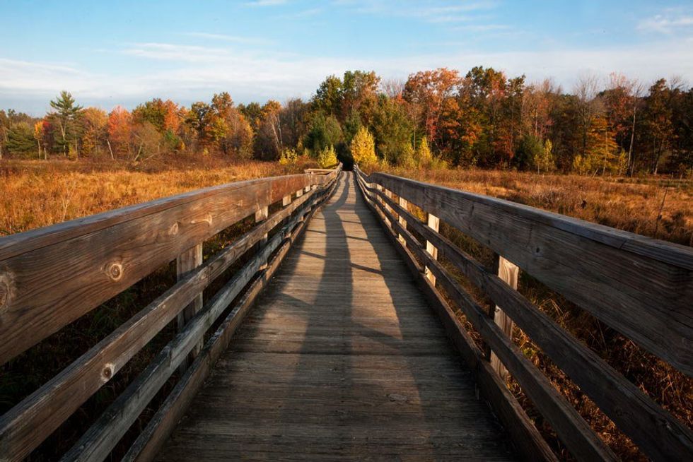 6 Reasons Why You Must Experience Fall In Binghamton