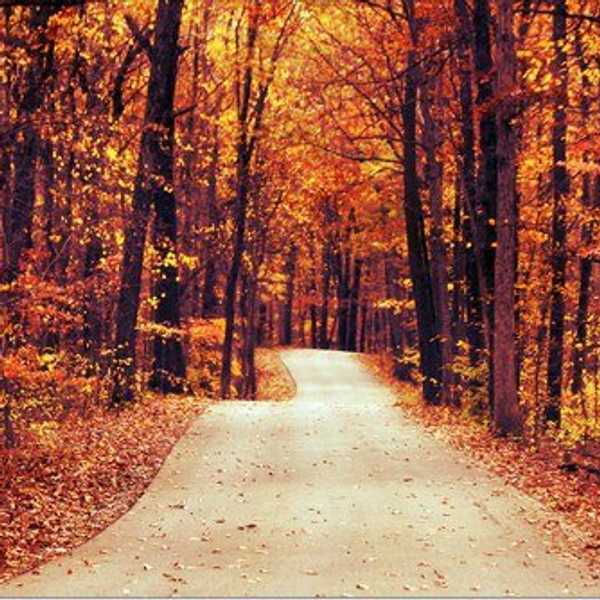 15 Reasons Why People Should Fall in Love With Autumn