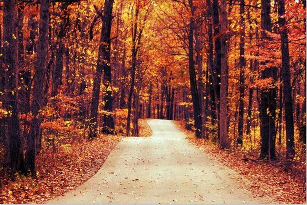 15 Reasons Why People Should Fall in Love With Autumn