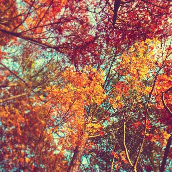 7 Reasons Why Fall Needs To Get Here ASAP