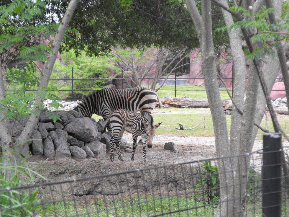 10 Date Ideas From A College Student