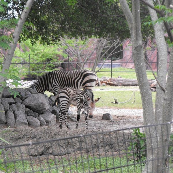 10 Date Ideas From A College Student