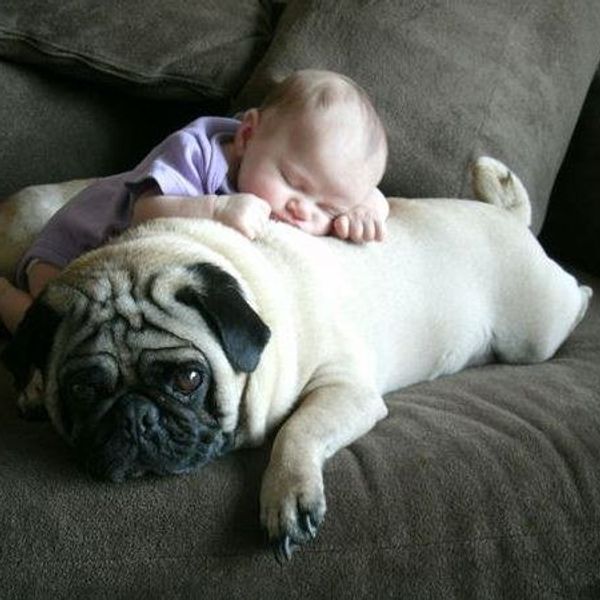 The Benefits Of Growing Up With A Dog