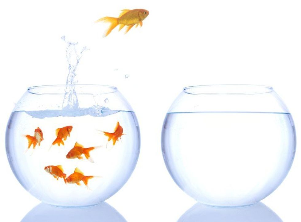 Pulling The "Panic Cord," Or Why To Keep Taking Risks