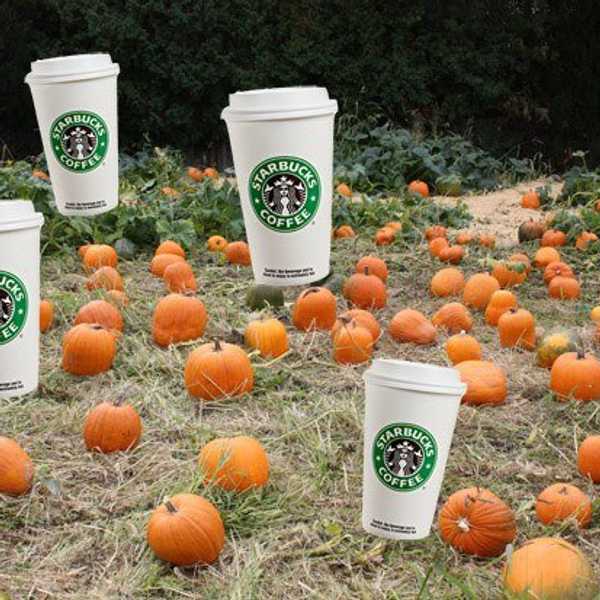 15 Reasons To Be Excited For Fall