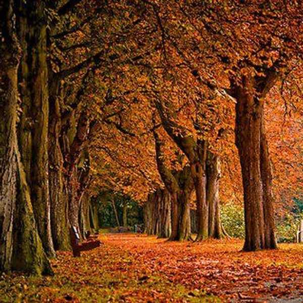 My Complicated Relationship With September