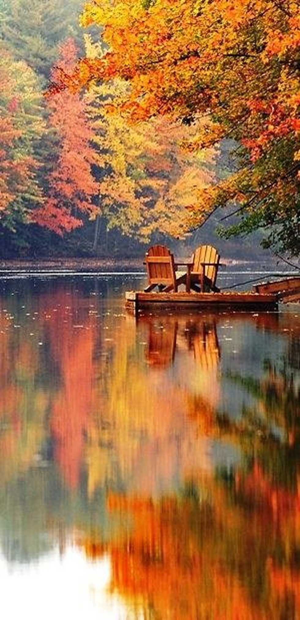 Excited Fall 10 Reasons To Get Excited For Fall | The Odyssey Online