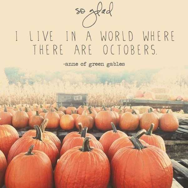 Why Fall Is The Greatest Season
