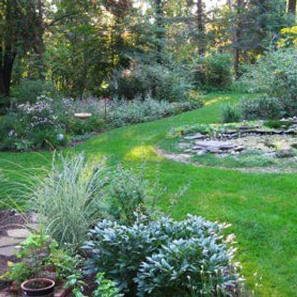The Benefits Of Natural Landscaping