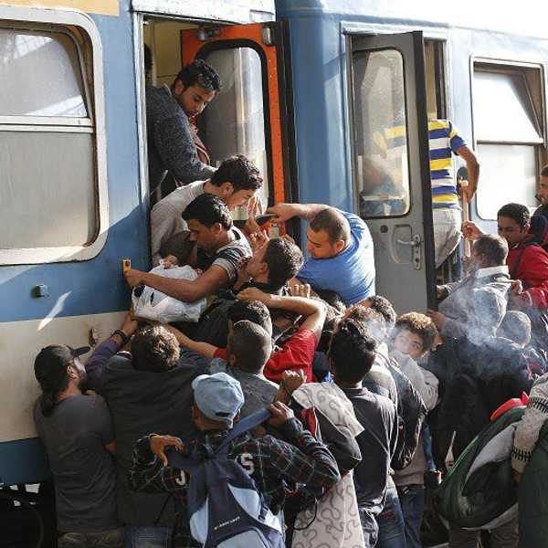 Wandering Into The Migrant Crisis