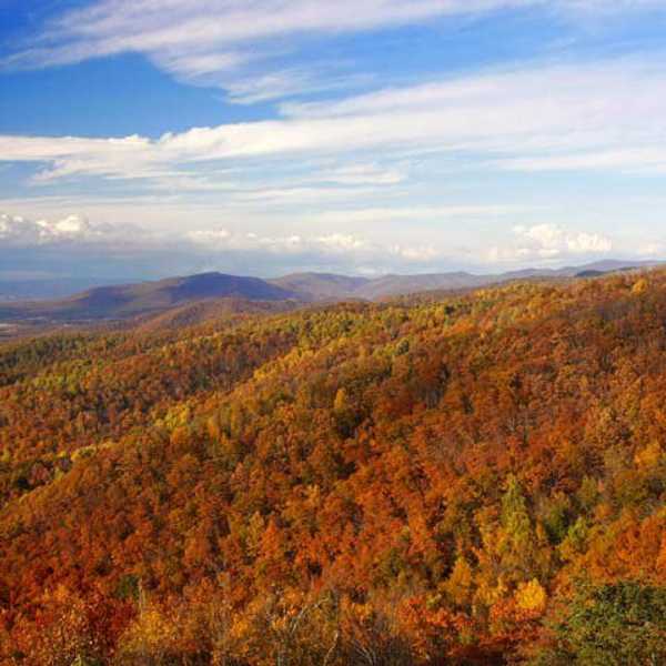 Why Fall is Your New Favorite Season