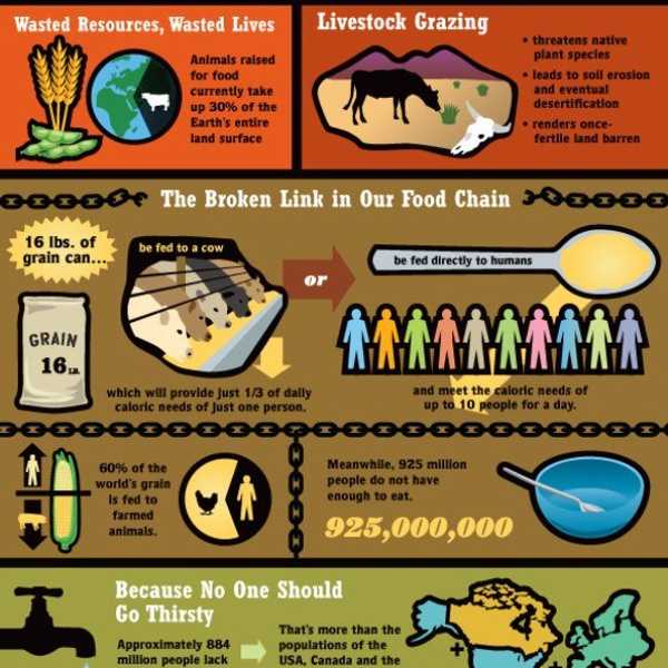 Your Hamburger Is Killing The Planet