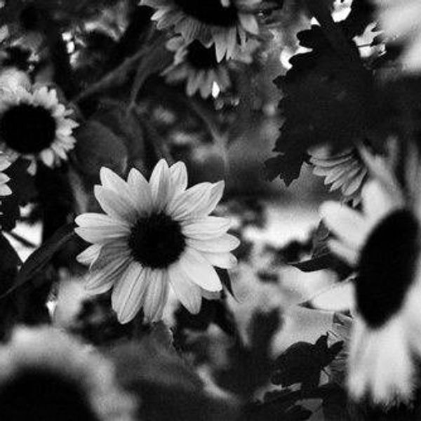 An Open Letter to the Girl(s) Who Bullied Me