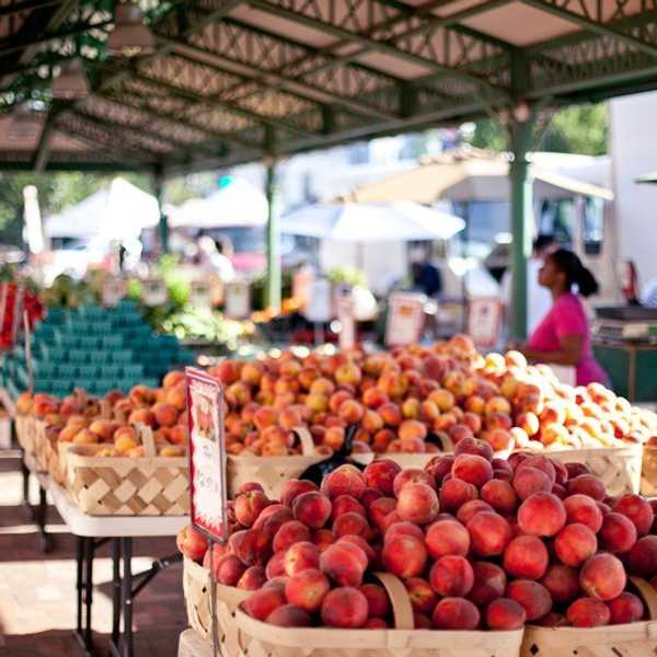 Your Back to School Guide For Everything DC