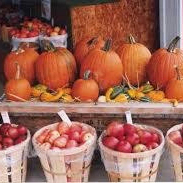 For the Fall-Loving Foodies of the World
