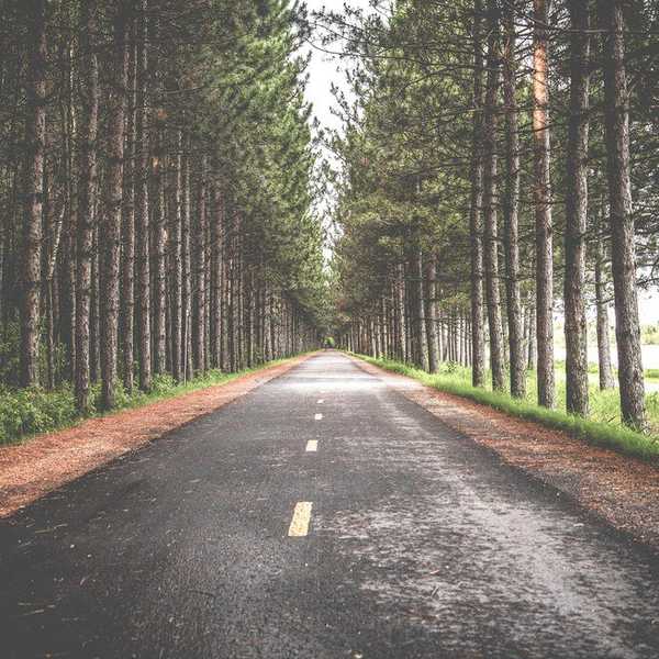 Traveling While You're Young
