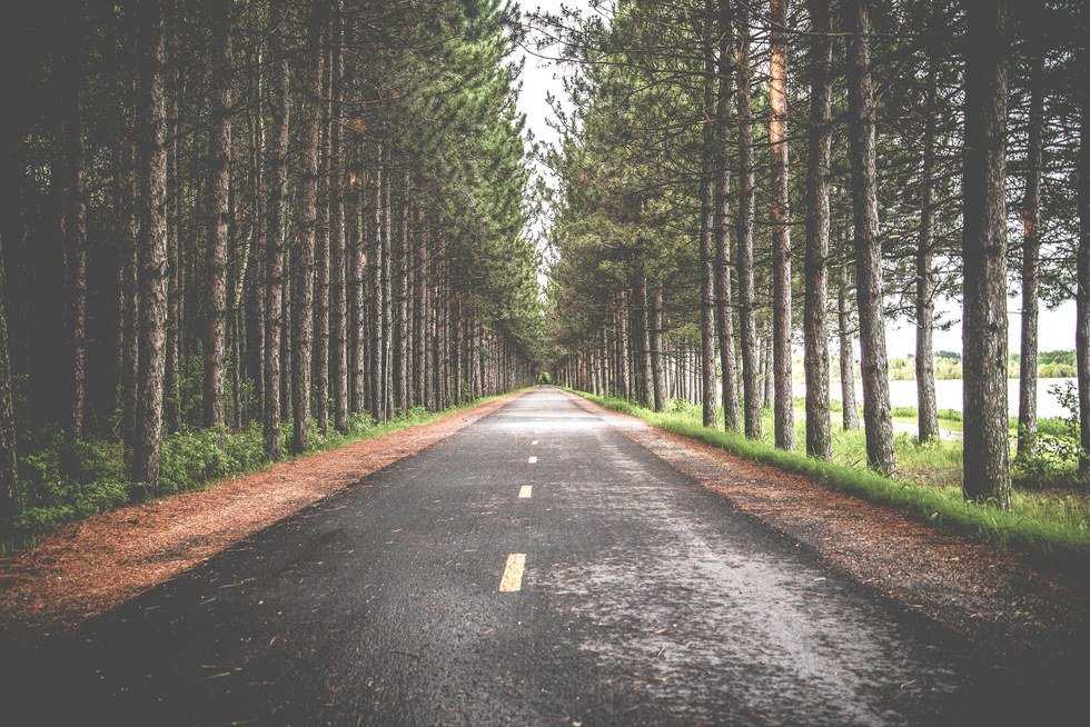 Traveling While You're Young