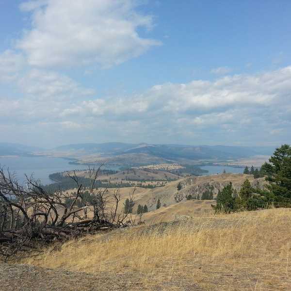 7 Reasons To Pause Life And Take A College Road Trip