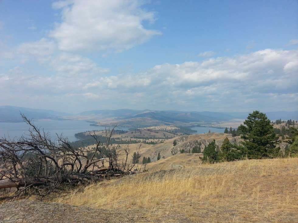 7 Reasons To Pause Life And Take A College Road Trip