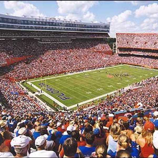 Gator Fans Have Hope Once Again