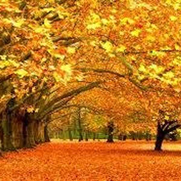 5 Things I Love About Fall