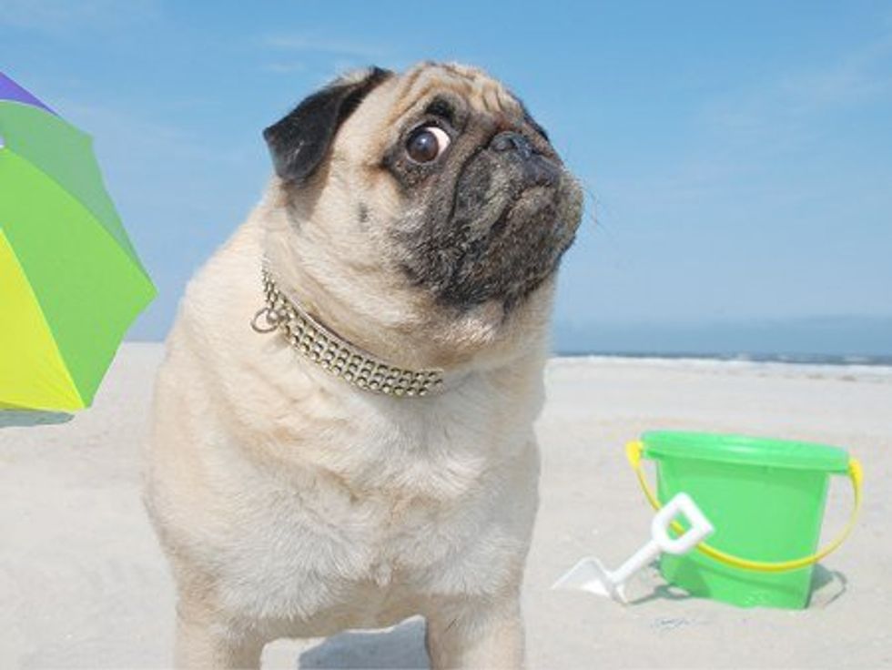 9 Reasons Why Summer Needs to Leave