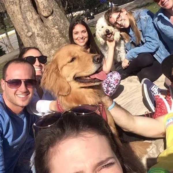 5 Reasons Every College Student Needs a Dog